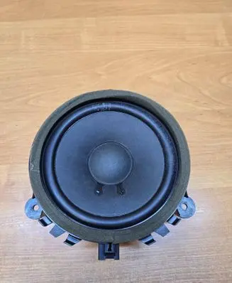 Rear door speaker