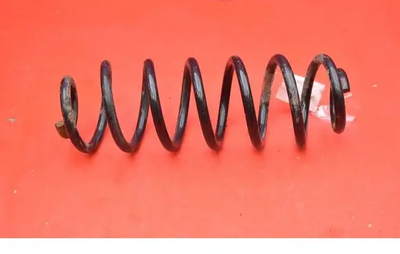 Volkswagen Tiguan Rear coil spring 