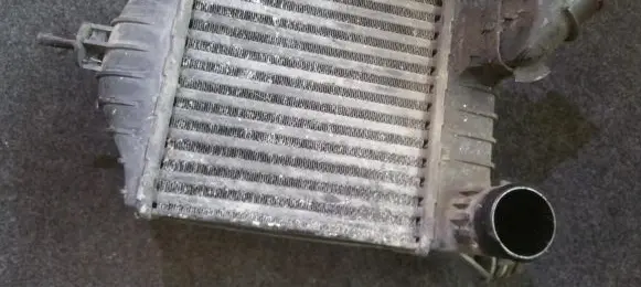 Fiat Punto (188) Intercooler radiator