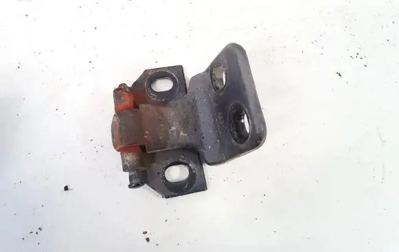 Rear door lower hinge