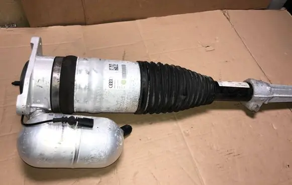 Audi A8 S8 D5 Rear shock absorber/damper 4N0616002L