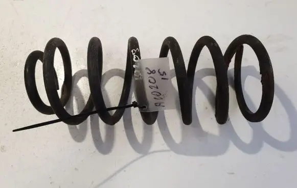 Rear coil spring