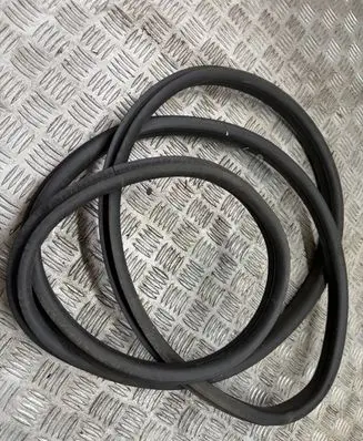 Ford Ecosport Front door rubber seal