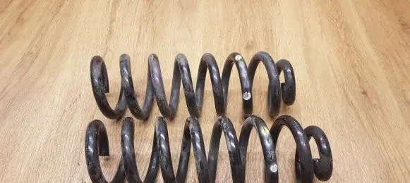 Rear coil spring