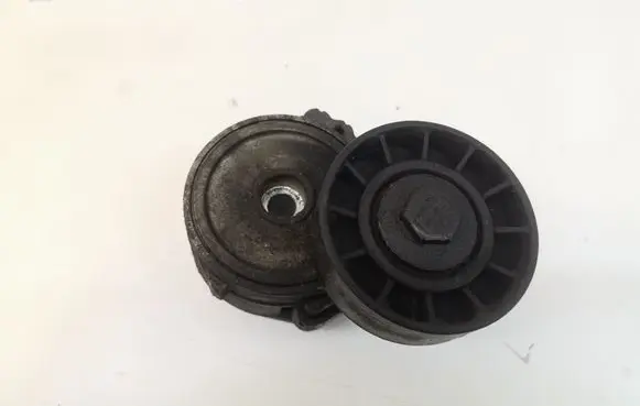 Citroen C5 Generator/alternator belt tensioner