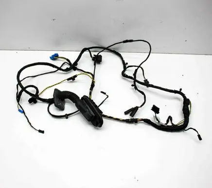 Rear door wiring loom