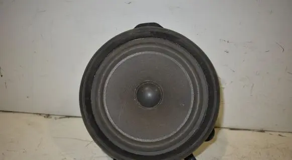 Front door speaker