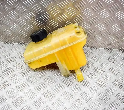 Citroen C6 Coolant expansion tank/reservoir 917A1