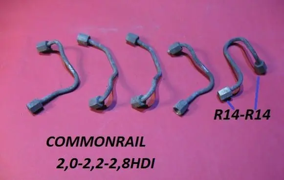Citroen Xsara Picasso Fuel injector supply line/pipe 202228