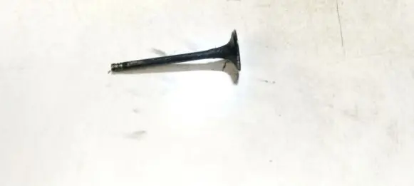 Volkswagen Tiguan Valve 