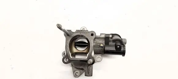 EGR valve