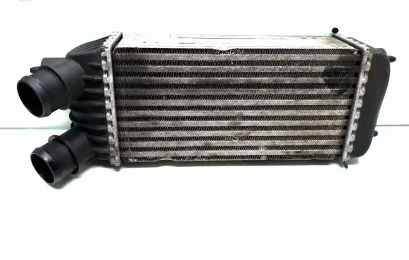 Peugeot Expert Intercooler radiator 1498987080 E5531008