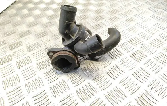 Thermostat/thermostat housing
