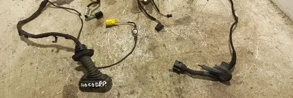 Front door wiring loom