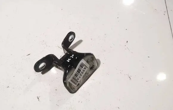 KIA Sorento Rear door lower hinge 