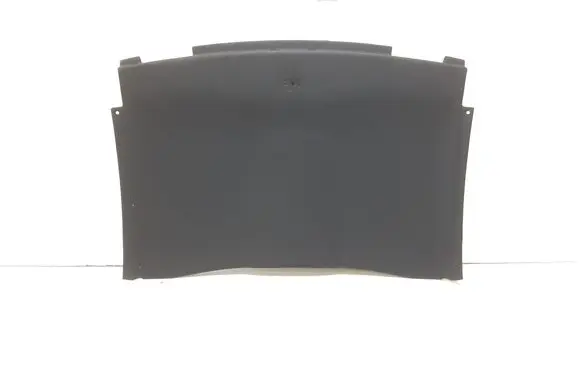 BMW 3 E92 E93 Headlining 3001705600