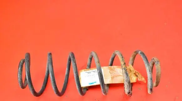 Ford Fusion Rear coil spring