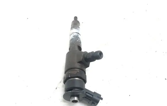Peugeot Partner Fuel injector 0445110340