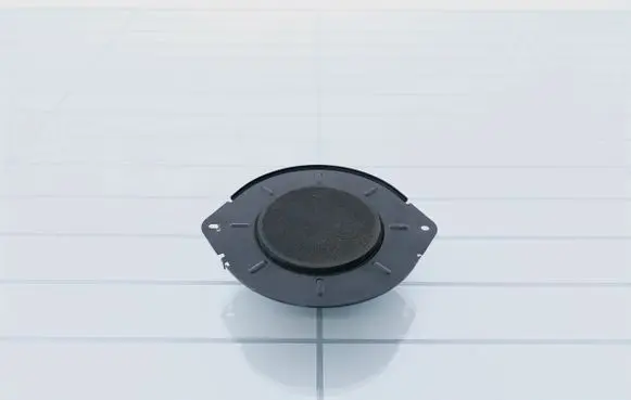 Panel speaker