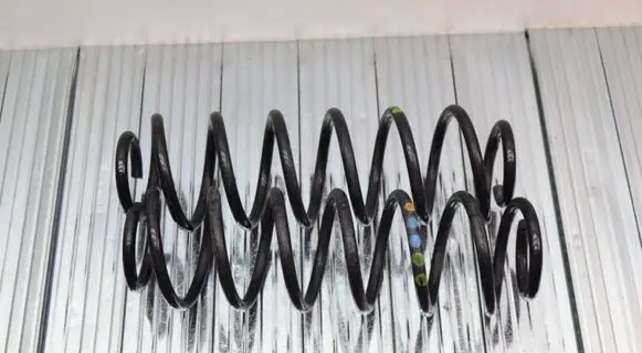 Rear coil spring