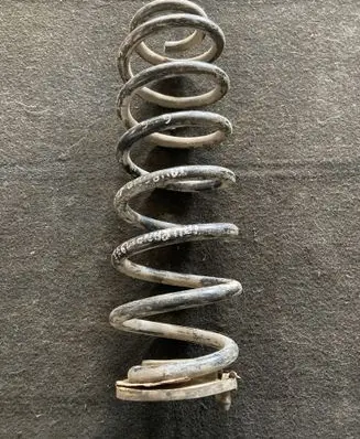 Rear coil spring
