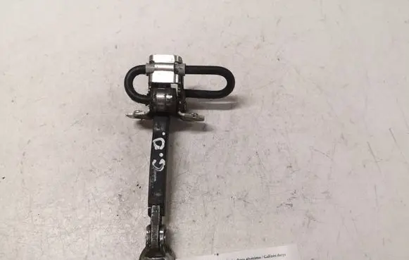 Fiat Punto (199) Rear door check strap stopper