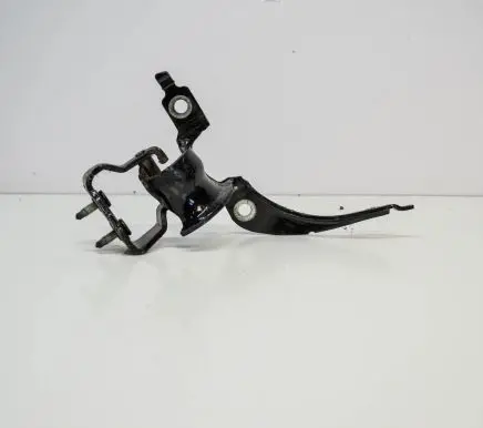 Tailgate/trunk/boot hinge
