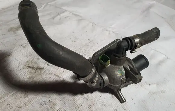 Thermostat/thermostat housing