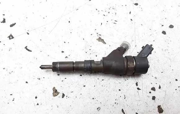 Peugeot 406 Fuel injector 0445110008 9635196580