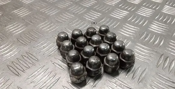 Nuts/bolts
