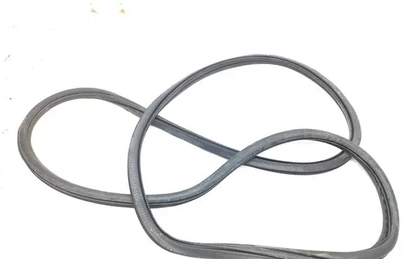 Volkswagen Tiguan Allspace Rear door rubber seal (on body) 