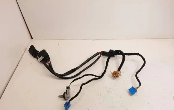 Audi A6 S6 C6 4F Other wiring loom 4F0971547