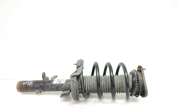 Ford Focus Front shock absorber with coil spring 824003016915 315469 824903016915