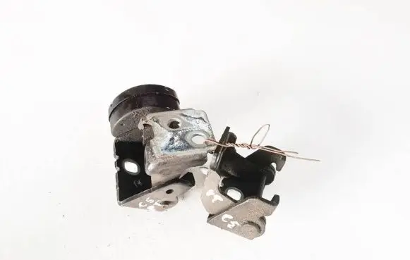 Citroen C5 Rear door hinge set 