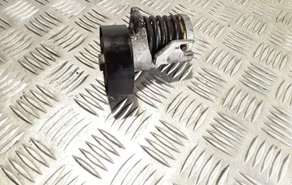 Skoda Fabia Mk2 (5J) Generator/alternator belt tensioner