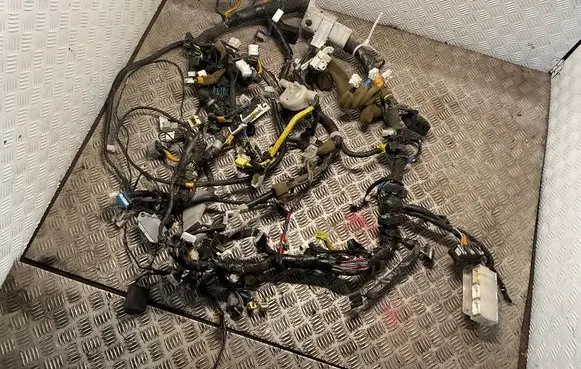 Toyota Land Cruiser (J120) Panel wiring 