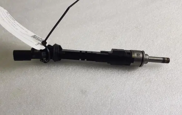 Nissan Qashqai J12 Fuel injector 166005550R 210219