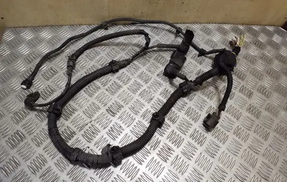 Other wiring loom
