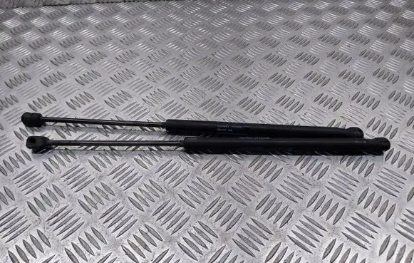 Lancia Ypsilon Tailgate hydraulic set 46817935