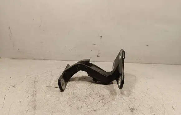 BMW X5 E70 Tailgate hinge 14187910