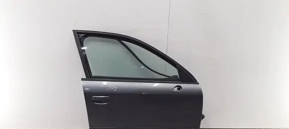 Seat Exeo (3R) Front door