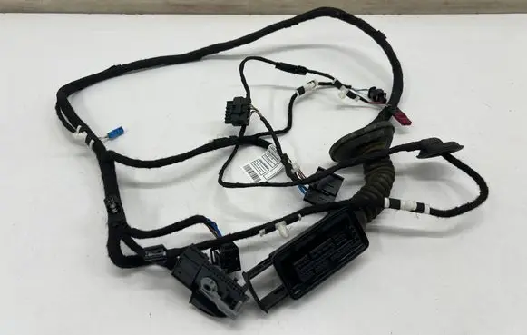 BMW 2 Active Tourer U06 Front door wiring loom 5A41113