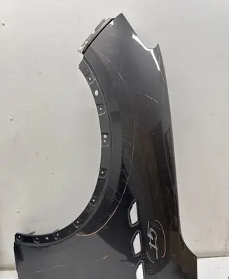 Fender