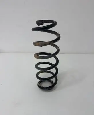 Rear coil spring
