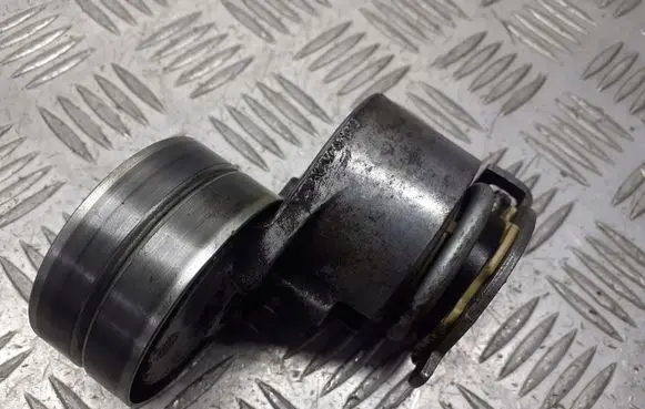 Renault Scenic II - Grand scenic II Alternator belt tensioner pulley 905328