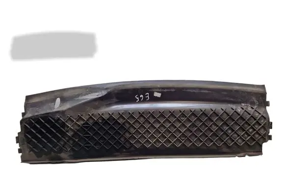 BMW 7 E65 E66 Radiator trim 51717011218 10519311 7011218