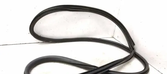 Renault Latitude (L70) Rear door rubber seal (on body) 