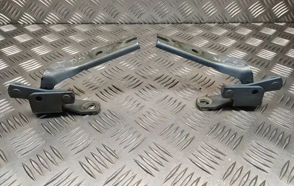 Citroen C5 Engine bonnet/hood hinges 