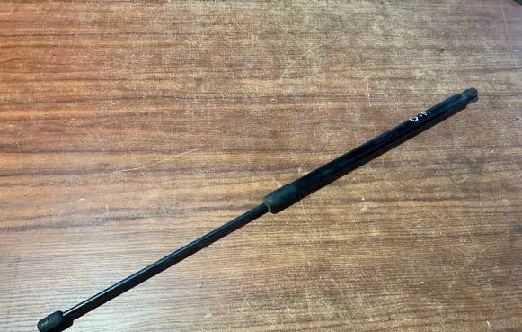 Tailgate/trunk strut/damper