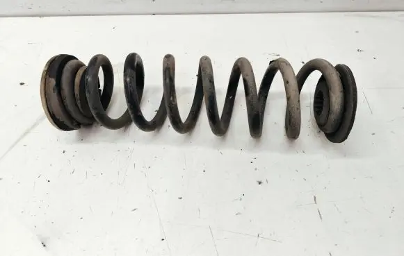 Opel Insignia B Rear coil spring